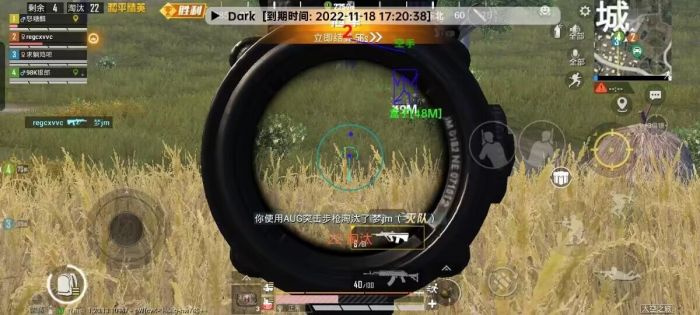 火焰鸟直装科技 - 高兼容稳定辅助合集